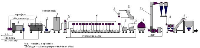 Схема технологического процесса изготовления полуфабрикатов картофель очищенный